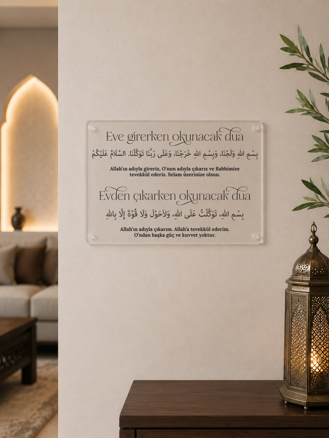 plexiglass-dua-entrer-sortir-maison-turc-pas-cher copie